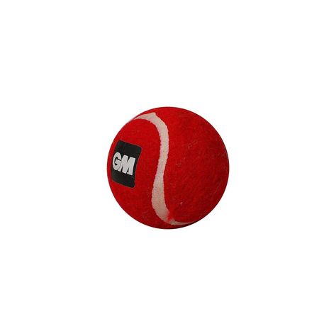 GM Pro Cricket Ball